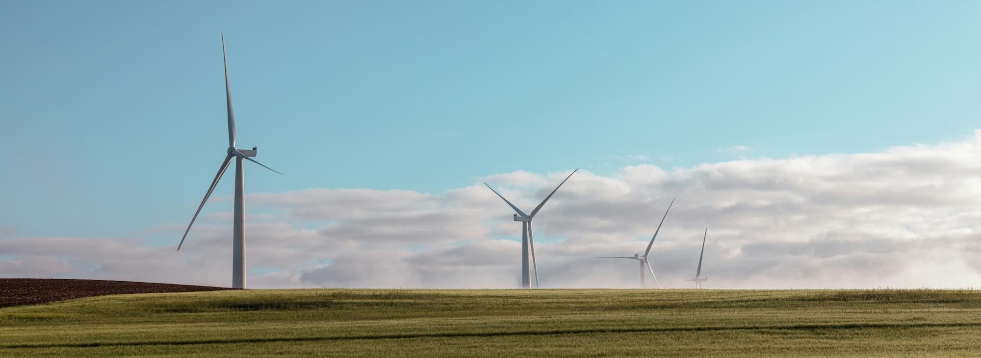 windmills
