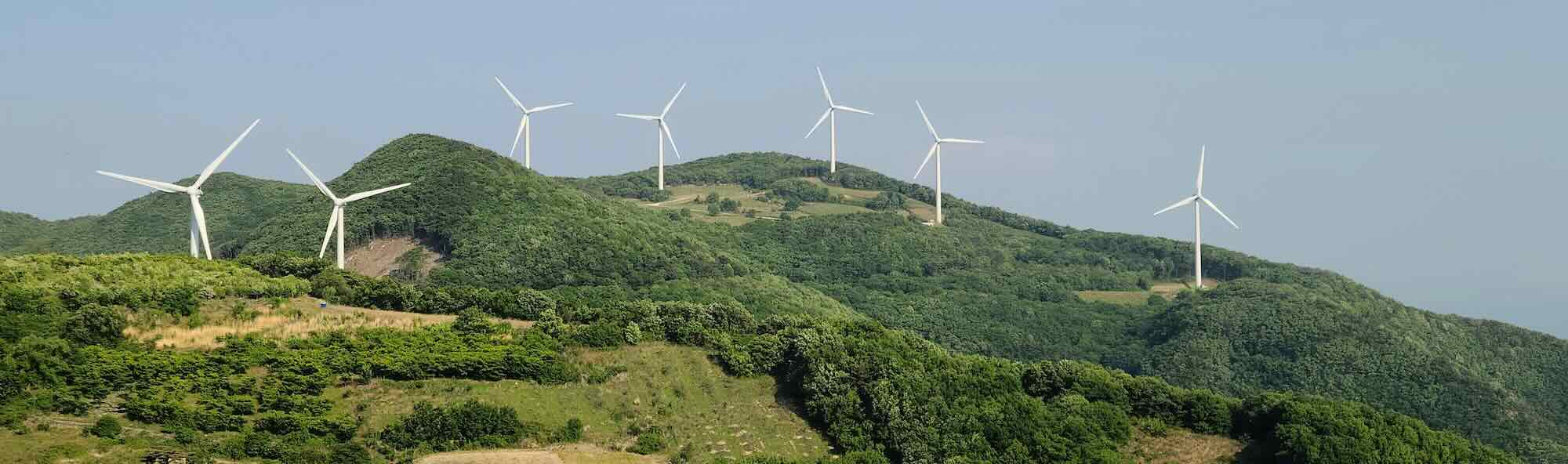 windmills