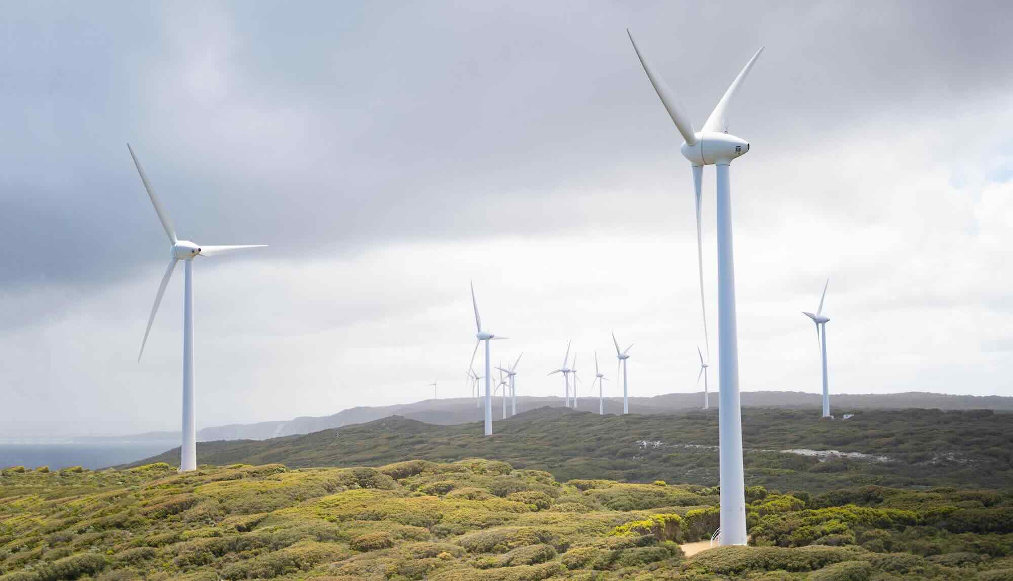 windmills