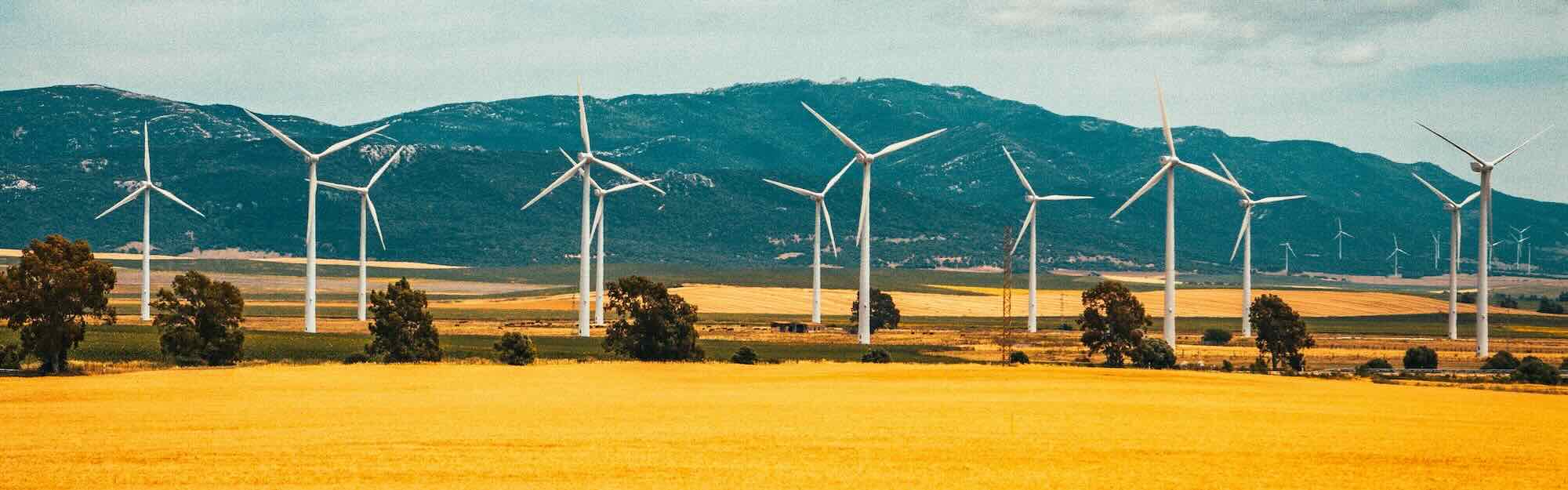 windmills