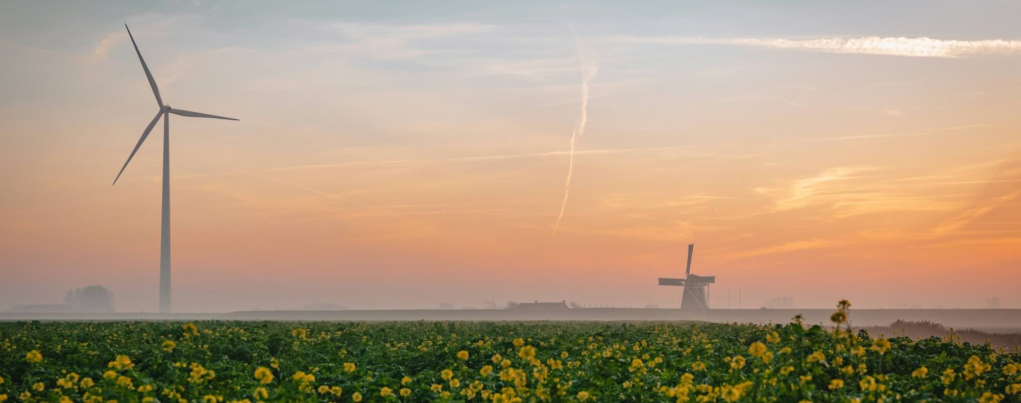 windmills