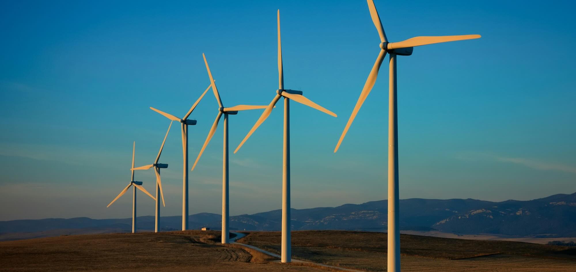 windmills